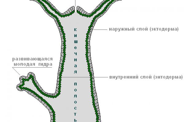 Кракен наркошоп ссылка