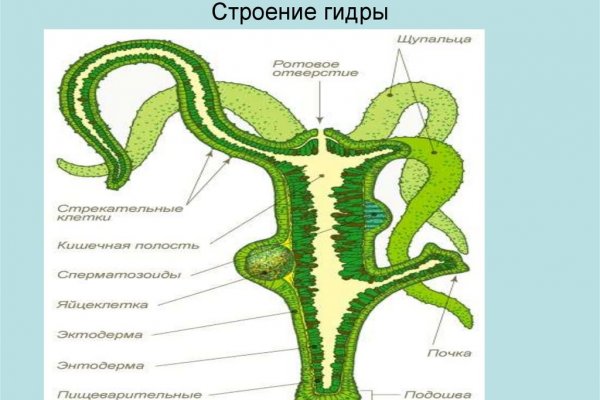 Площадка кракен kraken clear com