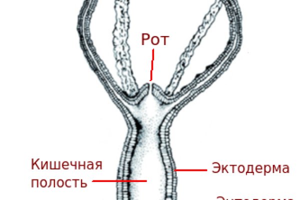 Кракен даркет