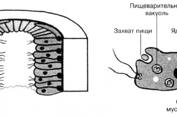 Как войти на кракен