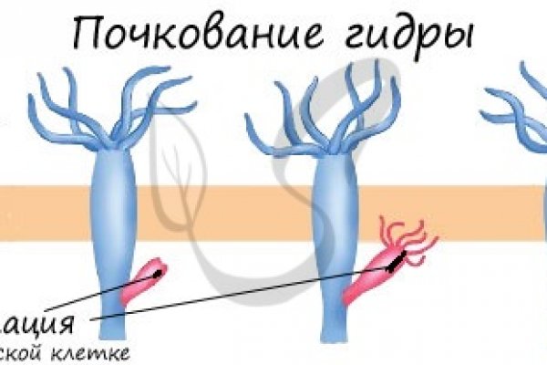 Кракен дарк шоп