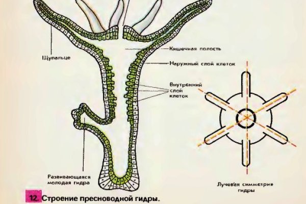 Кракен 17